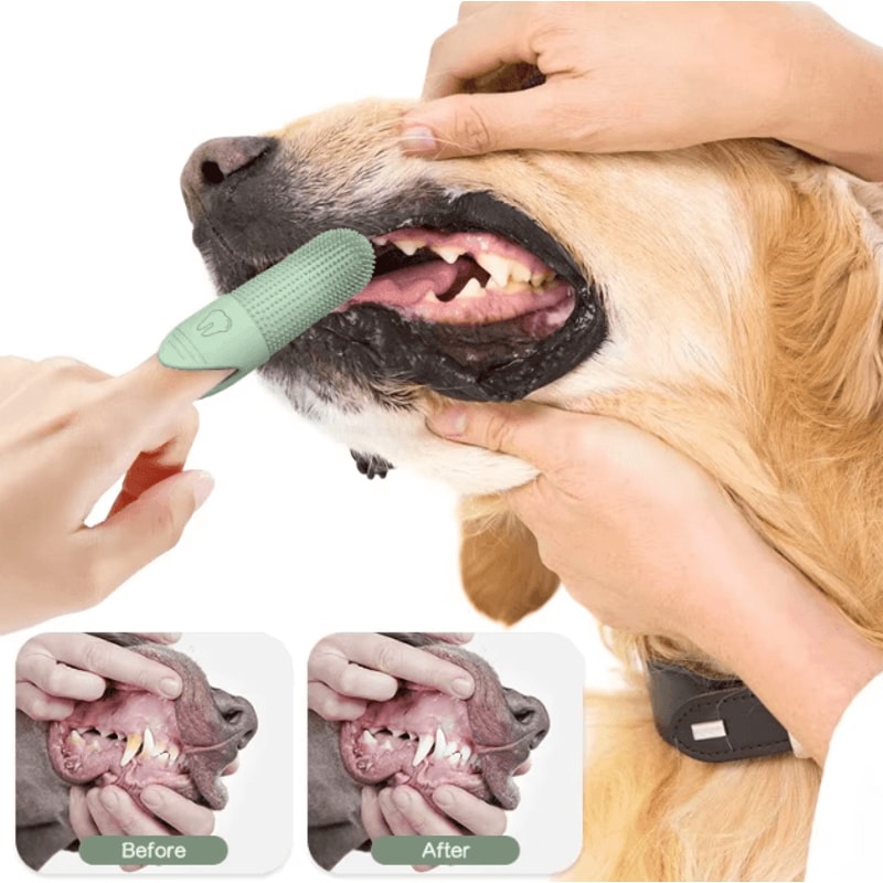 CleanPaw 360 Silicone Dog Finger Toothbrush For Cats Dogs 1