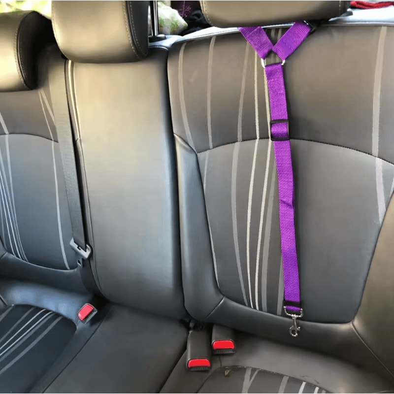Adjustable 2in1 Pet Car Seat Belt Leash Nylon Safety Harness Strap For Dogs Cats 1
