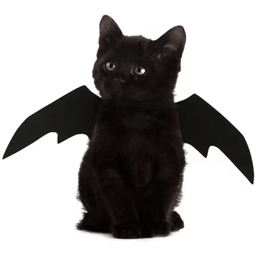 BatBuddy Pet Bat Wings Costume Cute Halloween Cosplay Harness For Cats Dogs 2