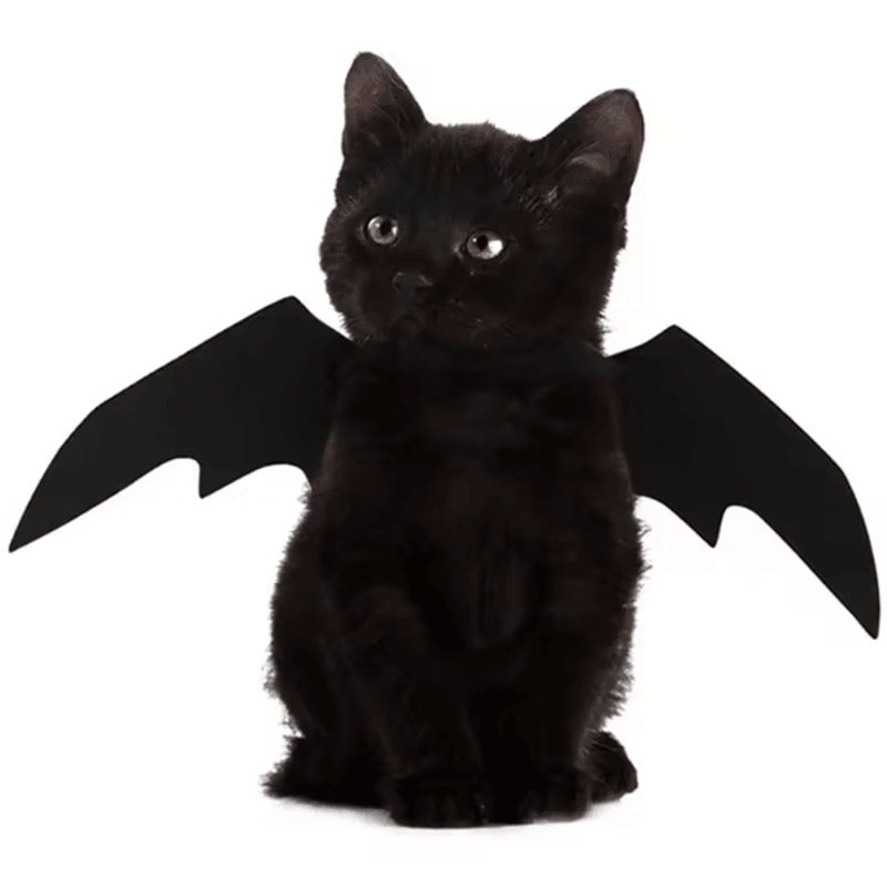 BatBuddy Pet Bat Wings Costume Cute Halloween Cosplay Harness For Cats Dogs 2