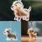 FurKeeps Clear Pet Hair Memorial Capsule DIY Keepsake Keychain Pendant 0