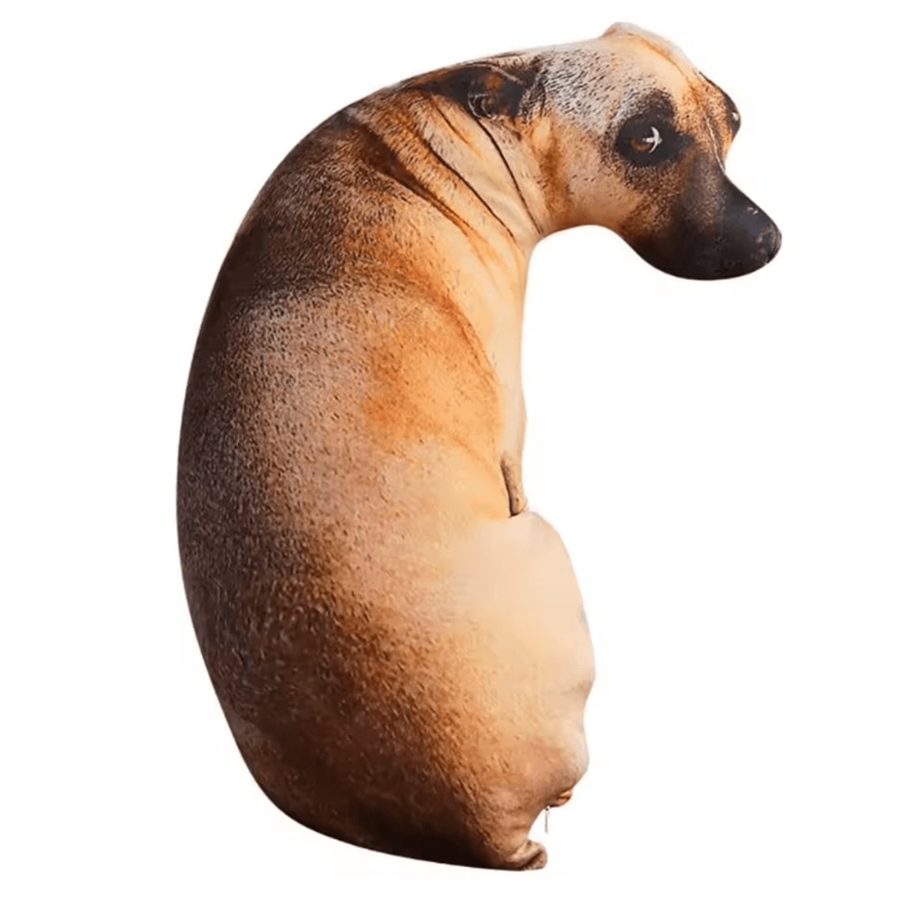 Lifelike 3D Dog Head Throw Pillow For Fun Home Decor Cozy Comfort 3