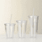DoubleLayer Clear Tumbler With Straw Insulated Smoothie Iced Coffee Cup 0
