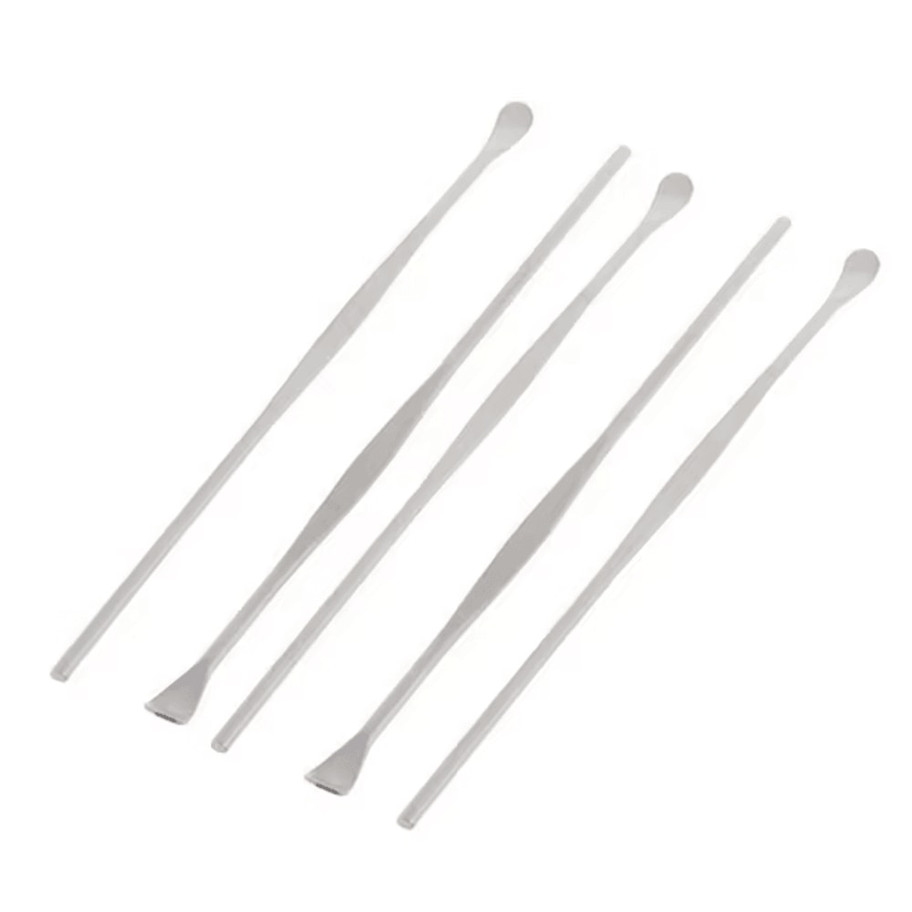 10PCS Stainless Steel Ear Pick Set Reusable Ear Wax Removal Cleaning Kit 1