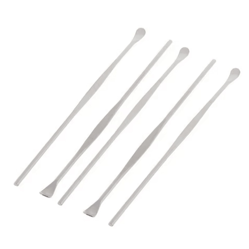 10PCS Stainless Steel Ear Pick Set Reusable Ear Wax Removal Cleaning Kit 1