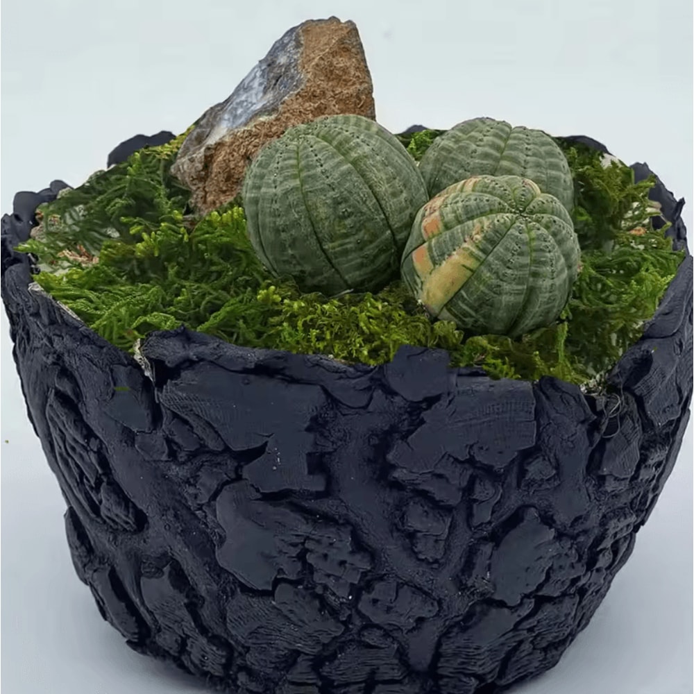 Artificial Green Moss For Potted Plants Decorative Faux Moss For Orchids DIY Plant Styling 2