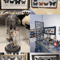 Real Butterfly Specimen Set Natural Taxidermy Butterfly Collection For Art Decor Display 1