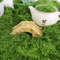 Artificial Green Moss For Crafts Mini Landscapes DIY Decorative Moss Grass For Plants Home Decor 0