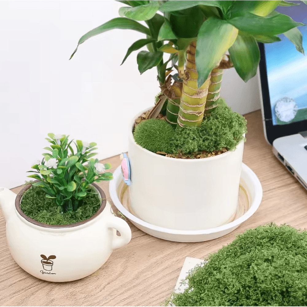 Artificial Green Moss For Crafts Mini Landscapes DIY Decorative Moss Grass For Plants Home Decor 1