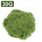 Artificial Green Moss For Crafts Mini Landscapes DIY Decorative Moss Grass For Plants Home Decor 2