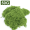 Artificial Green Moss For Crafts Mini Landscapes DIY Decorative Moss Grass For Plants Home Decor 3