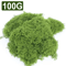 Artificial Green Moss For Crafts Mini Landscapes DIY Decorative Moss Grass For Plants Home Decor 4