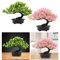 Artificial Japanese Pine Bonsai Tree Realistic Mini Zen Plant For Home Office 0