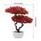 Artificial Japanese Pine Bonsai Tree Realistic Mini Zen Plant For Home Office 2