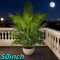 50Inch Artificial Palm Tree Lush Tropical Decor For Indoor Outdoor Spaces 1