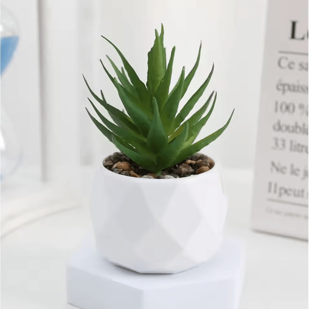 Add A Refreshing Touch Of Greenery To Your Space With This Charming Artificial Succulent Bonsai Des 1