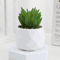 Add A Refreshing Touch Of Greenery To Your Space With This Charming Artificial Succulent Bonsai Des 2