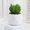 Add A Refreshing Touch Of Greenery To Your Space With This Charming Artificial Succulent Bonsai Des 2