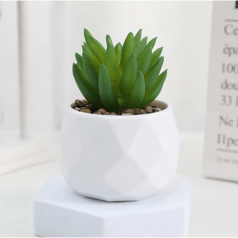 Add A Refreshing Touch Of Greenery To Your Space With This Charming Artificial Succulent Bonsai Des 2