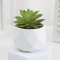 Add A Refreshing Touch Of Greenery To Your Space With This Charming Artificial Succulent Bonsai Des 3