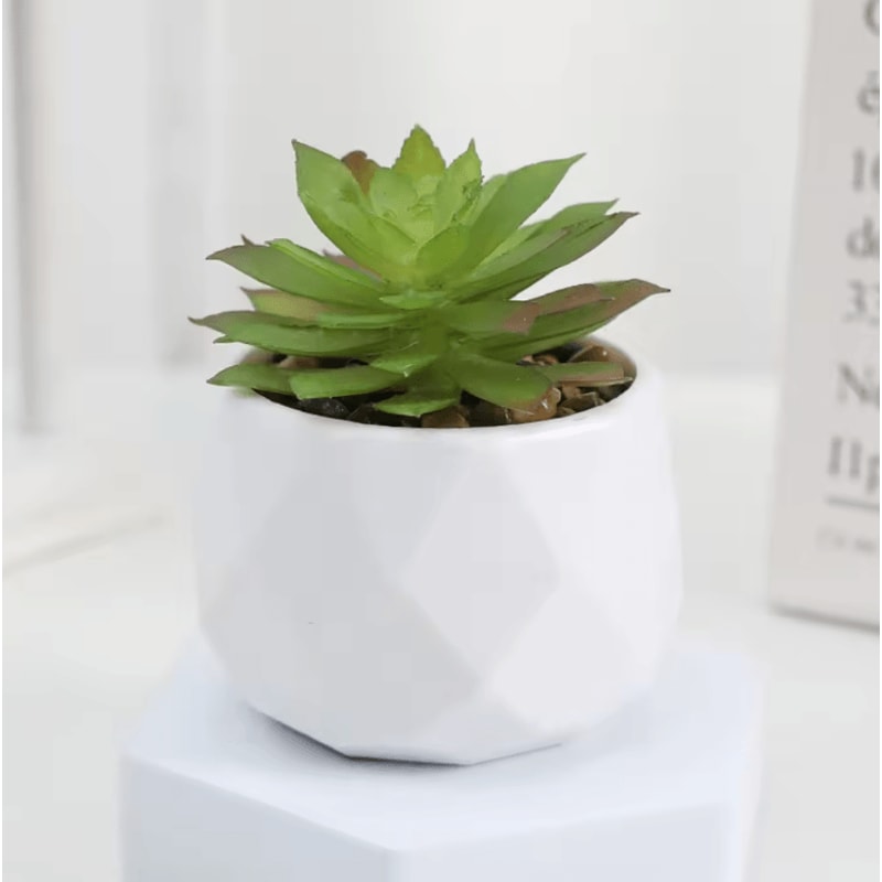Add A Refreshing Touch Of Greenery To Your Space With This Charming Artificial Succulent Bonsai Des 3