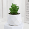Add A Refreshing Touch Of Greenery To Your Space With This Charming Artificial Succulent Bonsai Des 4
