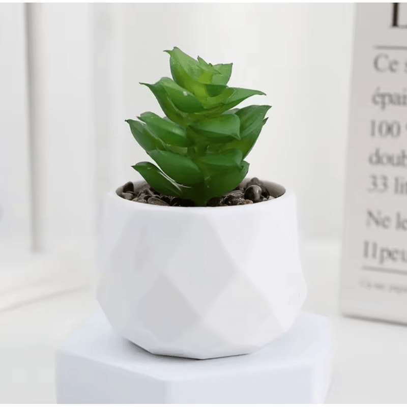 Add A Refreshing Touch Of Greenery To Your Space With This Charming Artificial Succulent Bonsai Des 4