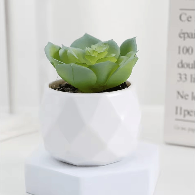 Add A Refreshing Touch Of Greenery To Your Space With This Charming Artificial Succulent Bonsai Des 6
