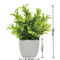 Mini Artificial Potted Flower Bonsai Realistic Fake Plant Decor For Home Desk 5