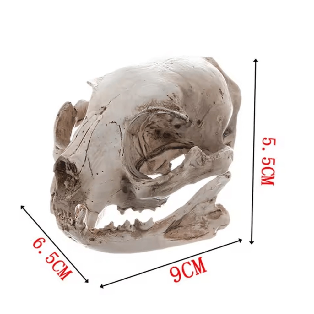 Realistic Resin Cat Skull Model Anatomy Teaching Gothic Home Decor Collectible 2