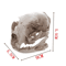 Realistic Resin Cat Skull Model Anatomy Teaching Gothic Home Decor Collectible 2