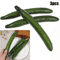 Realistic Fake Cucumber Set Lifelike Artificial Vegetable Props For Kitchen Display 2