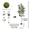 120180CM Artificial Olive Tree Branch Modern Minimalist Faux Plant Decor 6