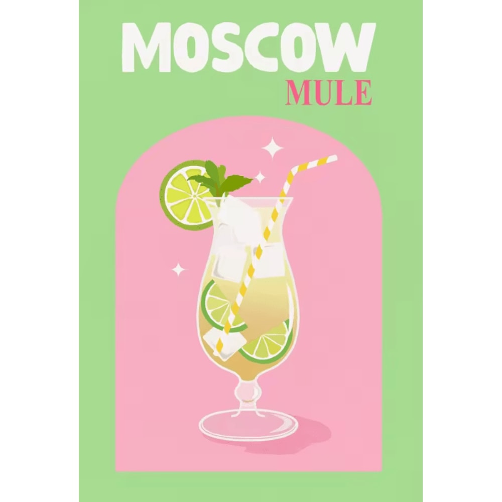 Colorful Cocktail Canvas Poster Set Trendy Drinks Wall Art For Home Bar Decor 2