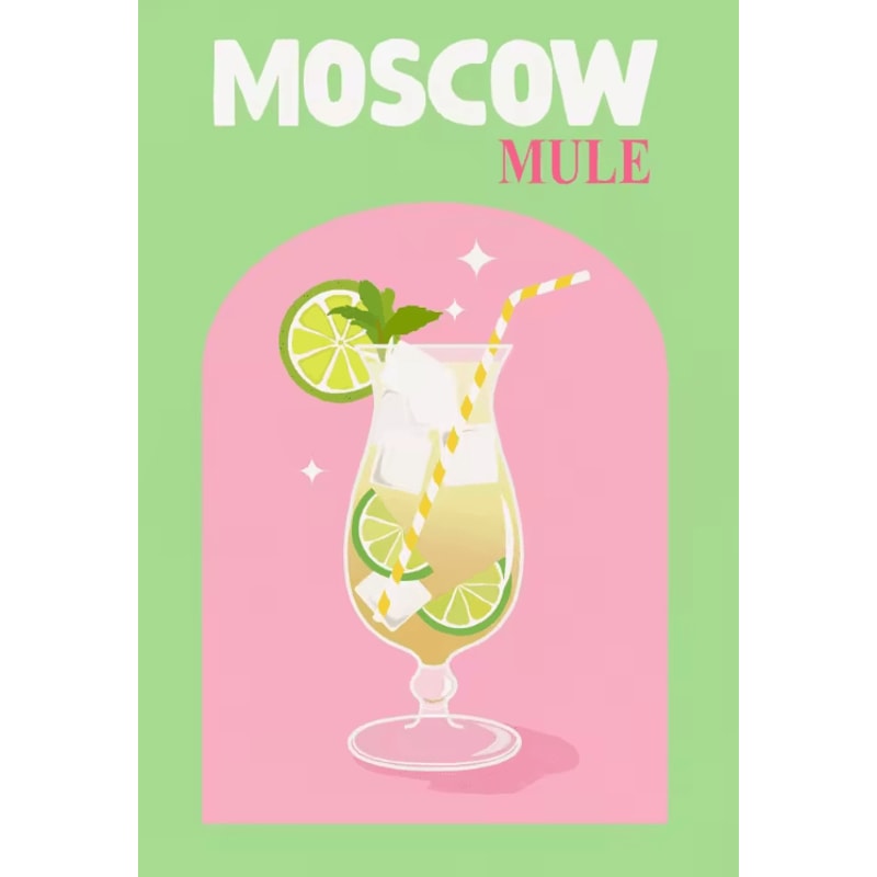 Colorful Cocktail Canvas Poster Set Trendy Drinks Wall Art For Home Bar Decor 2