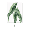 Nordic Green Botanical Canvas Wall Art Monstera Tropical Leaf Prints Decor 5