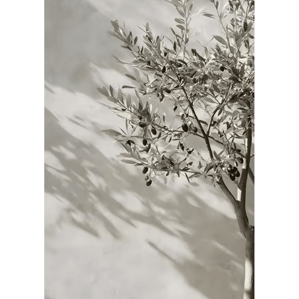 Retro Olive Tree Lemon Canvas Poster Vintage Botanical Kitchen Home Wall Art 3