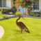 Rustic Metal Crane Garden Statue Weatherproof Heron Yard Art Outdoor Sculpture 1