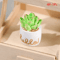Mini Dollhouse Plant Pot Set 1 12 Scale Miniature Flower Vase Decor Resin Ornament 2
