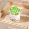 Mini Dollhouse Plant Pot Set 1 12 Scale Miniature Flower Vase Decor Resin Ornament 2