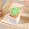 Mini Dollhouse Plant Pot Set 1 12 Scale Miniature Flower Vase Decor Resin Ornament 4