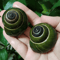 Natural Green Jade Snail Shell Aquarium Home Decor Specimen Ornament 1