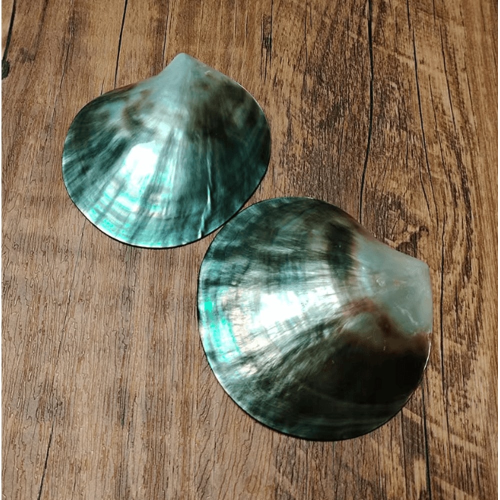 Black Mother Of Pearl Shell Natural Polished DIY Jewelry Decor Piece 0