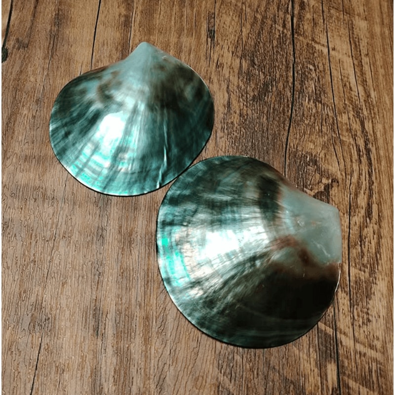 Black Mother Of Pearl Shell Natural Polished DIY Jewelry Decor Piece 0