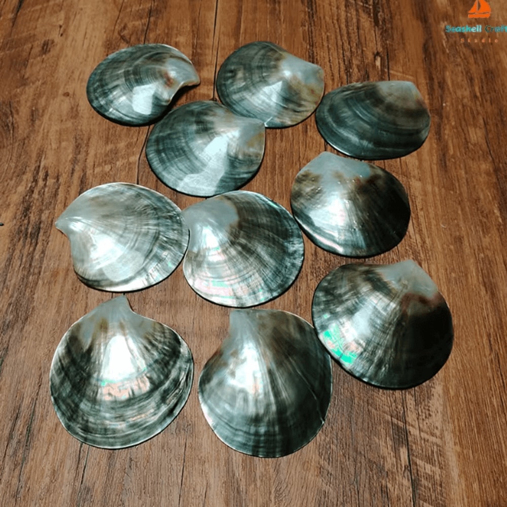 Black Mother Of Pearl Shell Natural Polished DIY Jewelry Decor Piece 3