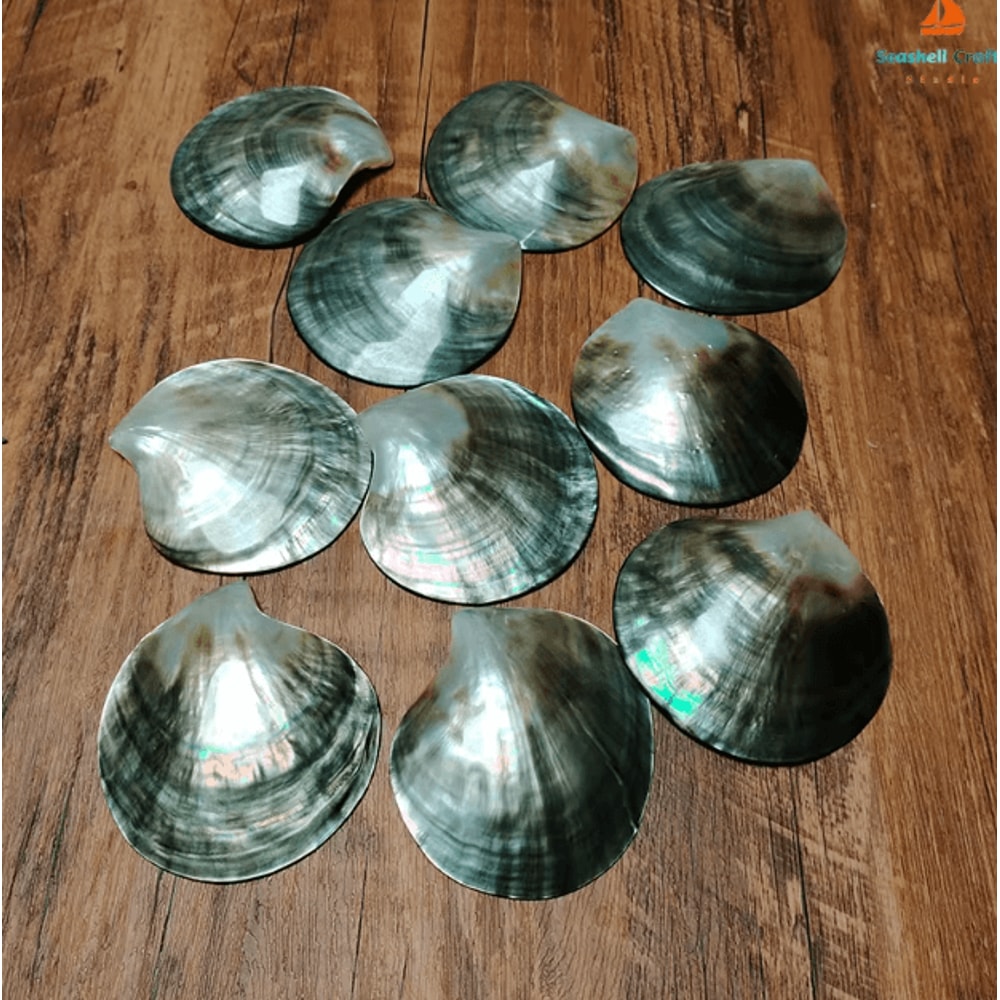 Black Mother Of Pearl Shell Natural Polished DIY Jewelry Decor Piece 5