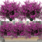 UVResistant Outdoor Artificial Flowers Set 12 Bundles Artificial Outdoor Flowers For Garden Windo 1