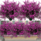 UVResistant Outdoor Artificial Flowers Set 12 Bundles Artificial Outdoor Flowers For Garden Windo 1