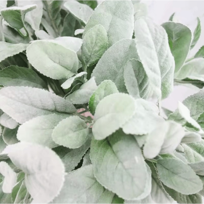 10PCS Real Touch Lambs Ear Greenery Stems Soft Artificial Lambs Ear Stems For Wedding Farmhouse D 2