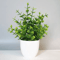 Realistic Mini Bonsai Artificial Plant Indoor Outdoor Decorative Greenery 0